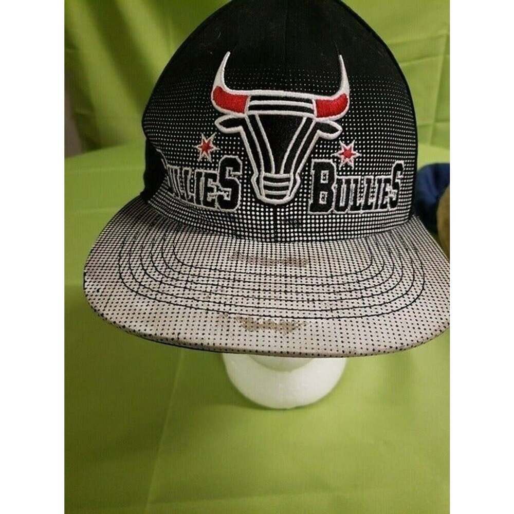 Bullies Bullies Bulls Hat by Huge Headwear.